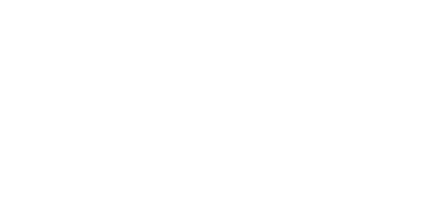 SHY-Logo@300x-100-copy